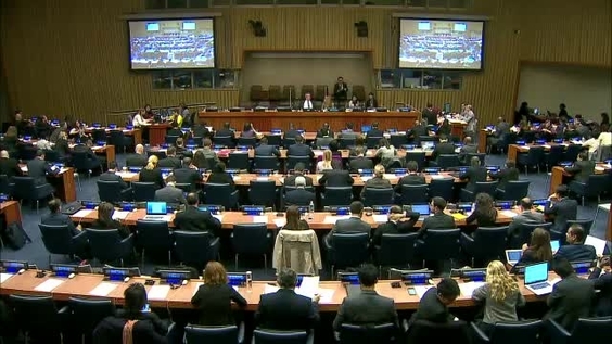 Fourth Committee, 23rd meeting - 71st General Assembly