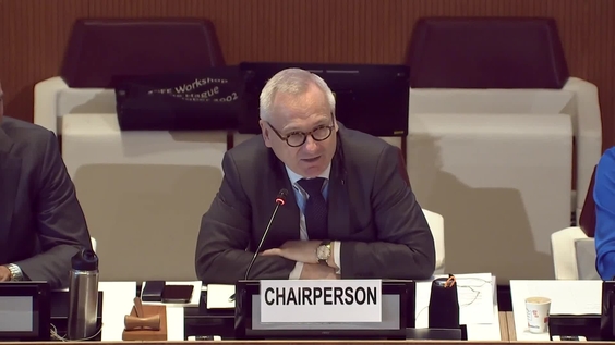3rd Meeting, 2nd Session Group of Governmental Experts on Lethal Autonomous Weapons Systems 2024