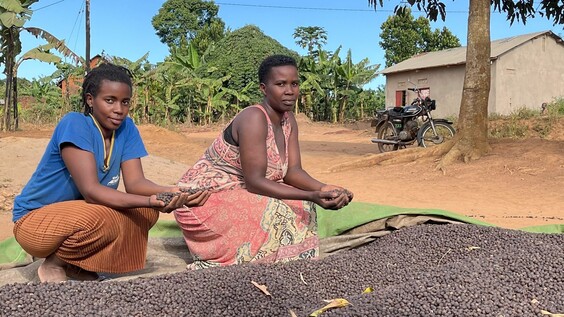  Beyond compliance: Collective action to address the root causes of child labour in the coffee supply chain