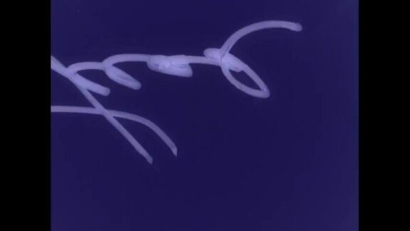 1028th Meeting of General Assembly: 16th Session