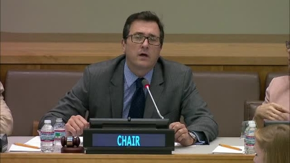 4th meeting, Fifth working session, Open-ended Working Group on Aeging (30 July- 1 August)- General Assembly