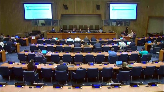 19th meeting, Committee on Non-Governmental Organizations - 2022 Resumed Session