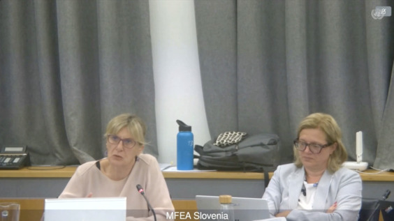 2955th Meeting, 101st Session, Committee on the Rights of the Child (CRC)