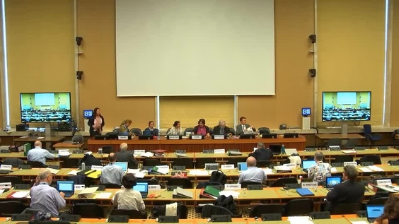Day of General Discussion - 51st Meeting 64th Session Committee on Economic, Social and Cultural Rights