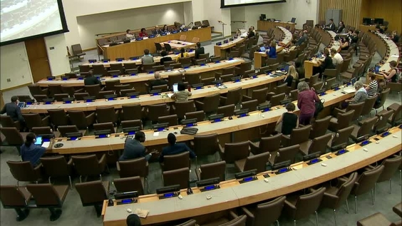 Briefing to Member States on Expert Group Meetings on Progress in Achieving SDG 1 and SDG 2 in preparation for the 2017 HLPF