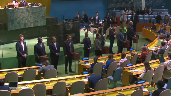 General Assembly: 87th plenary meeting, 80th session