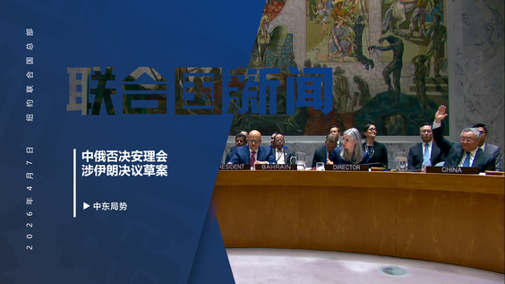 中俄否决安理会涉伊朗决议草案