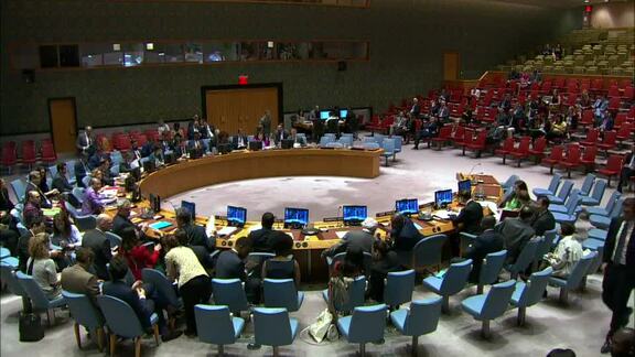 8530th Security Council Meeting: Situation in Libya
