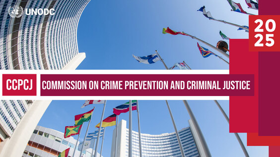 CCPCJ34: Meeting 7  – 22 May 2025