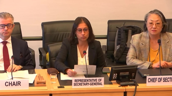 3108th Meeting, 114th Session, Committee on the Elimination of Racial Discrimination (CERD)