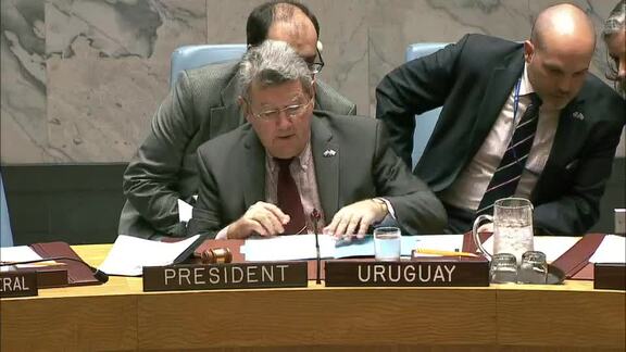 7955th Security Council Meeting: Situation in Middle East; Syria