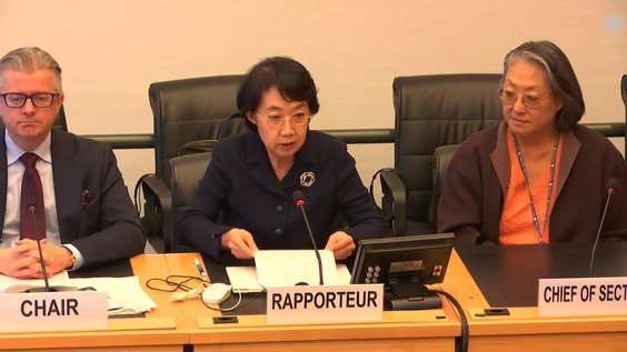 3137th Meeting, 114th Session, Committee on the Elimination of Racial Discrimination (CERD)