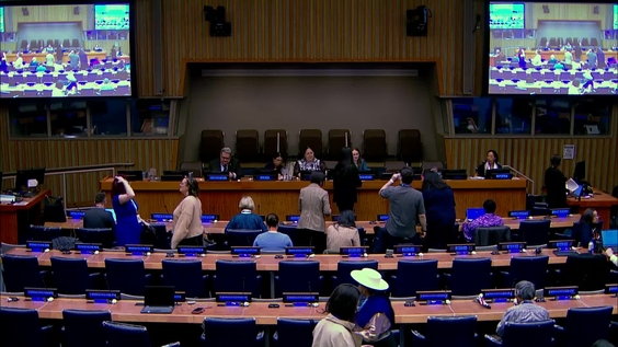 (11th meeting) UN Permanent Forum on Indigenous Issues, 25th session