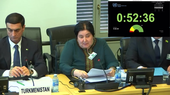 3004th Meeting, 110th Session, Committee on the Elimination of Racial Discrimination (CERD)