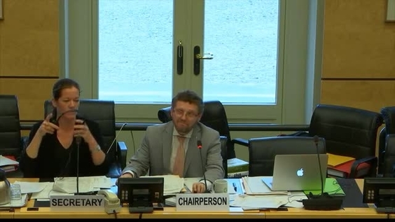 Progress Report of Special Rapporteur - 3328th meeting 118th Session of Human Rights Committee