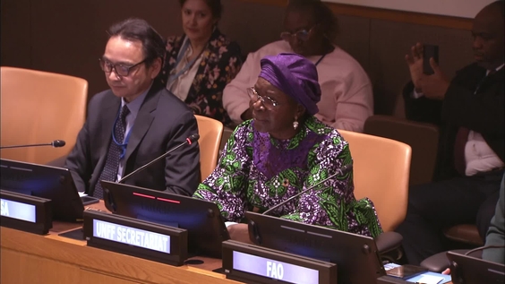 International Day of Forests 2025: Forests and Foods