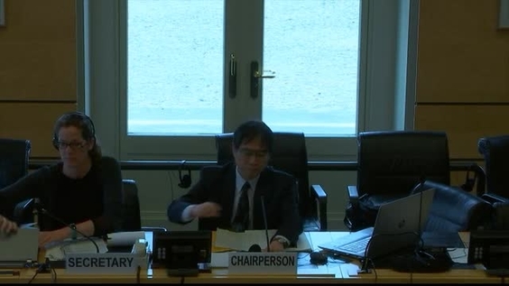 Adoption of Annual Report and Methods of Work - 3360th Meeting 119th Session of Human Rights Committee