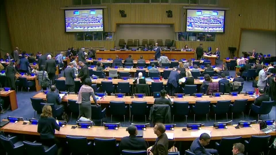 First Committee, 29th meeting - General Assembly, 73rd session