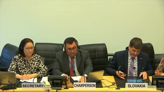 Consideration of Slovakia - 46th Meeting, 66th Session Committee on Economic, Social and Cultural Rights