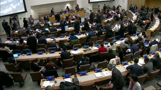 Third Committee, 50th meeting - 70th General Assembly