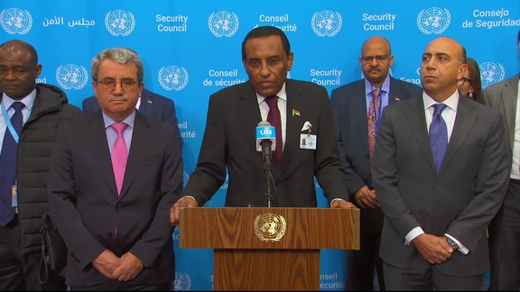Dr. Kamil Idris on the situation in Sudan - Security Council Media Stakeout