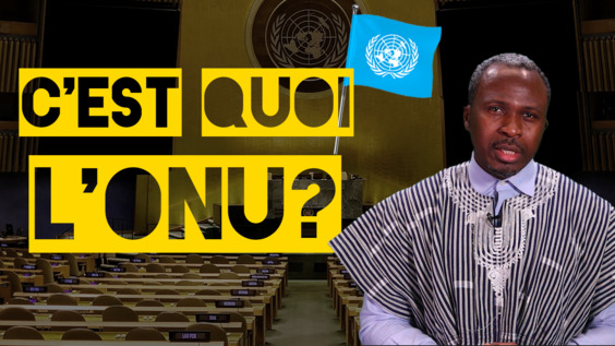 Qu'est-ce que l'Organisation des Nations Unies ?