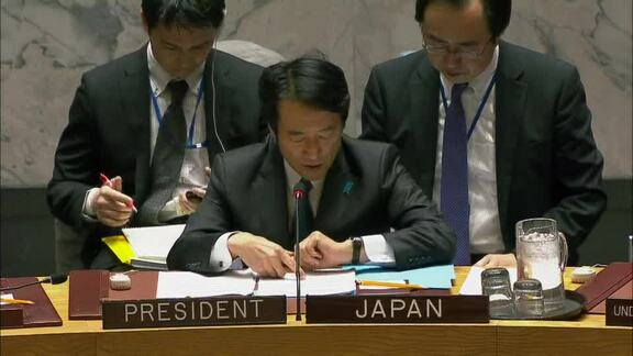 8133rd Security Council Meeting: Situation in Myanmar