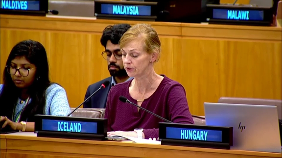 Third Committee, 2nd plenary meeting - General Assembly, 81st session