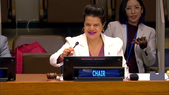 (7th plenary meeting) 57th session of the Commission on Population and Development, CPD57