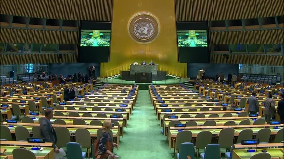 General Assembly: 114th Plenary meeting, 72nd session