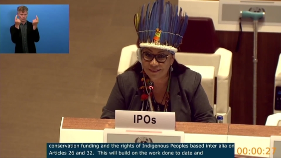 5th Meeting, 17th Session Expert Mechanism on the Rights of Indigenous Peoples (EMRIP)