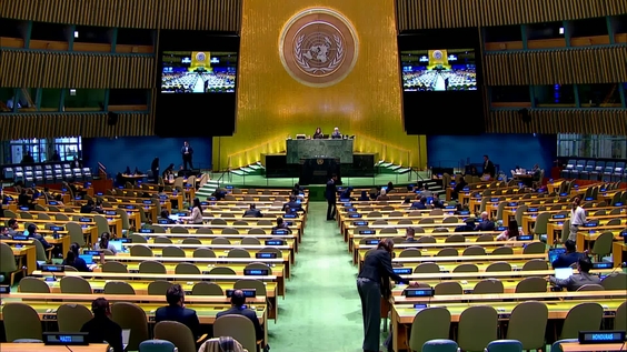 General Assembly: 46th plenary meeting, 80th session
