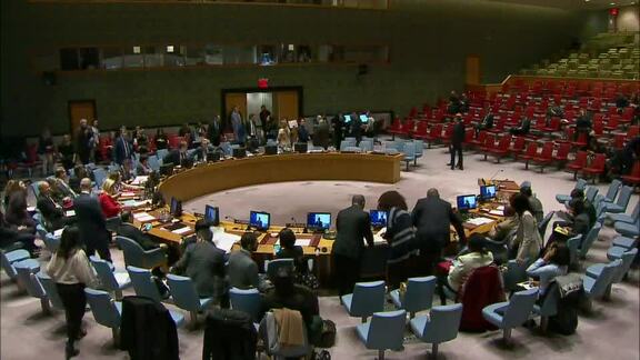 8213rd Security Council Meeting: Maintenance of International Peace and Security