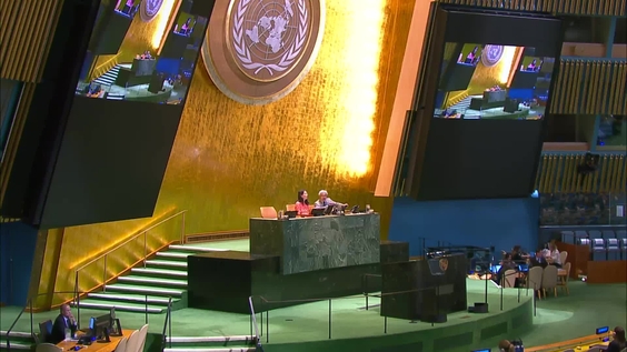 General Assembly: 113th Plenary meeting, 80th session