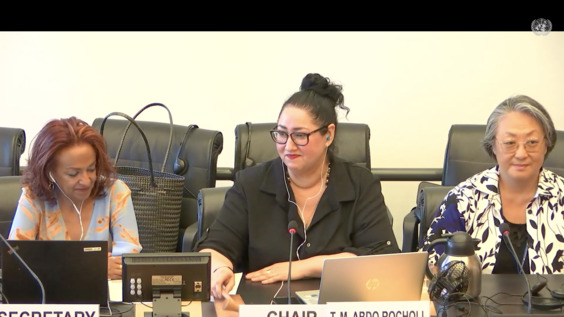 4146th Meeting, 141st Session, Human Rights Committee (CCPR)