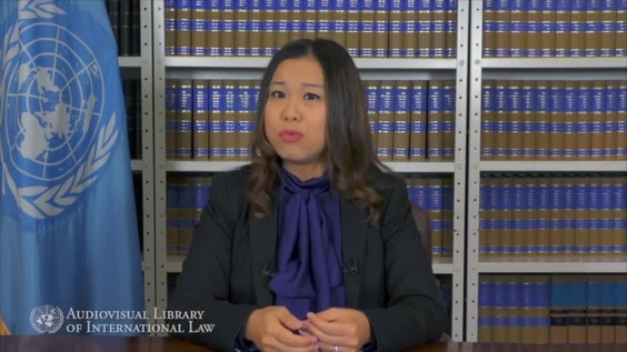 Gérardine Goh Escolar - State Responsibility and Liability in International Space Law