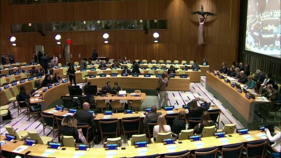 Informal meeting of the plenary to hear a briefing by the members of the Independent High-level Panel on Digital Cooperation - General Assembly, 73rd session