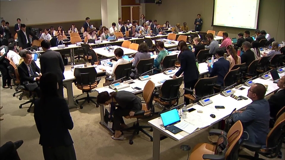 Strategies to ensure Sustainable Economic Growth through Disaster Risk Reduction (HLPF 2025 Side Event)