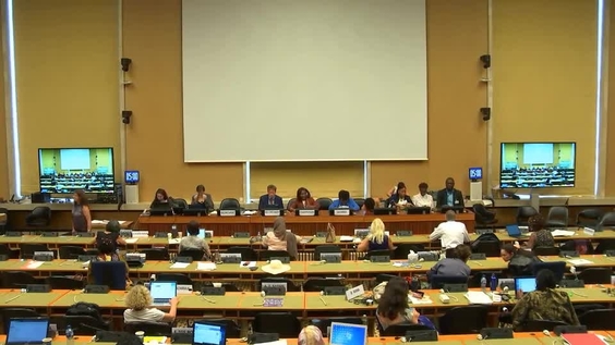Consideration of Guyana (Cont'd) - 1695th Meeting, 73rd Session Committee on the Elimination of Discrimination Against Women 