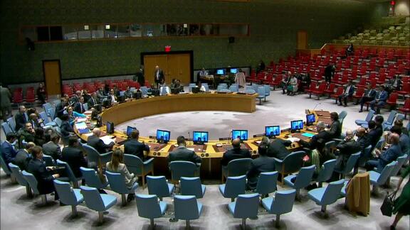 8642nd Security Council Meeting: Situation in Middle East