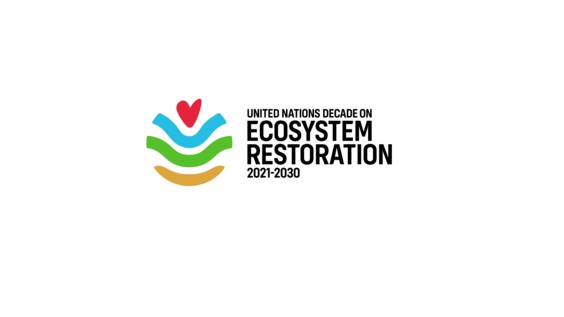 FAO / UNEP - Press Conference: Ecosystem Restoration (Geneva, 3 June 2021)