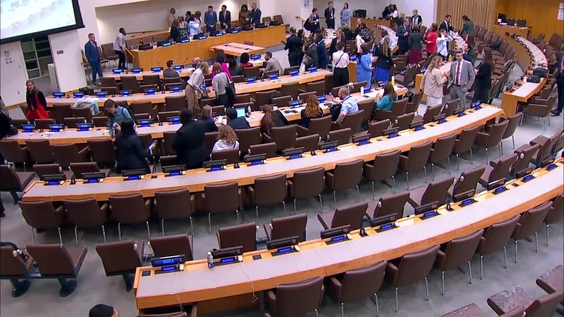 (3rd Meeting) UN-Women Executive Board, Second Regular Session 2024