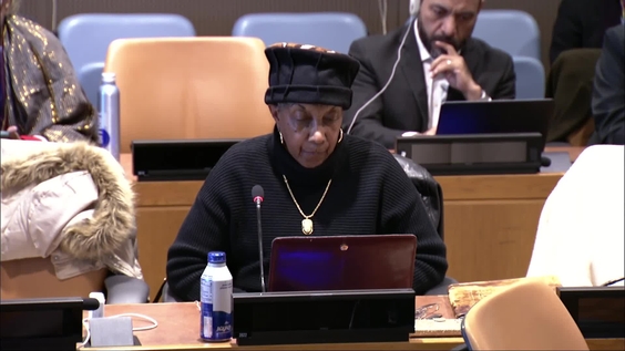 (8th meeting) Working Group of Experts on People of African Descent, 35th session