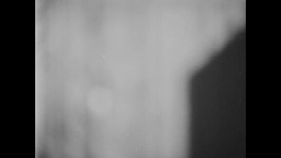 1176th Meeting Third Committee Meeting: Tribute to Eleanor Roosevelt