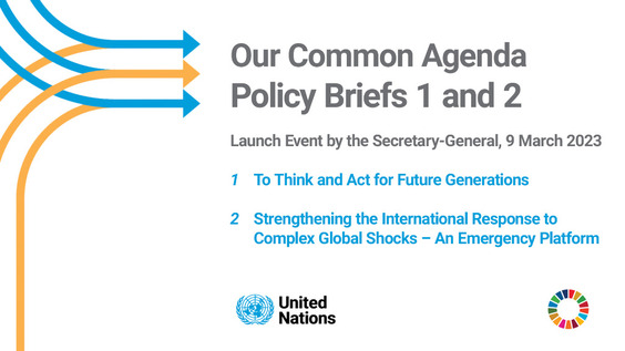 Our Common Agenda Policy Briefs