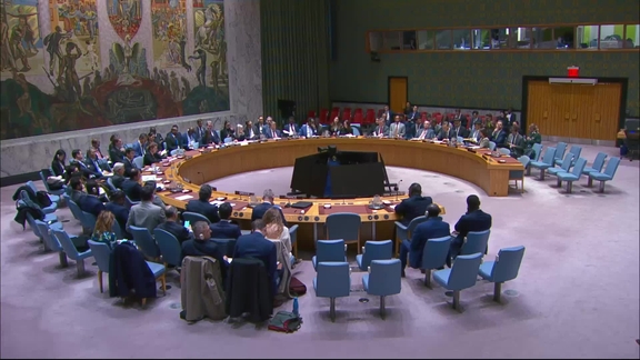The situation in the Central African Republic - Security Council, 10041st meeting