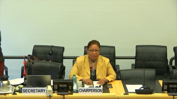 Progress Report of Special Rapporteurs - 3473rd Meeting 122nd Session of Human Rights Committee