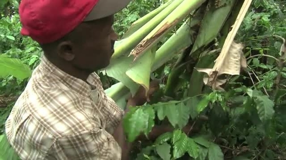 UN Forum on Forests - "Do Forests need to keep untouched?"