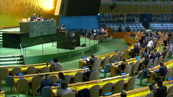 General Assembly: 47th plenary meeting, 79th session