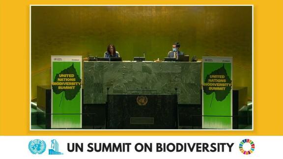 UN Summit on Biodiversity - General Assembly 75th Session - Part 3